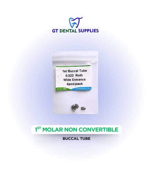 1st Molar Non Convertible
