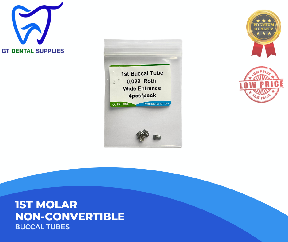 1st Molar Non Convertible