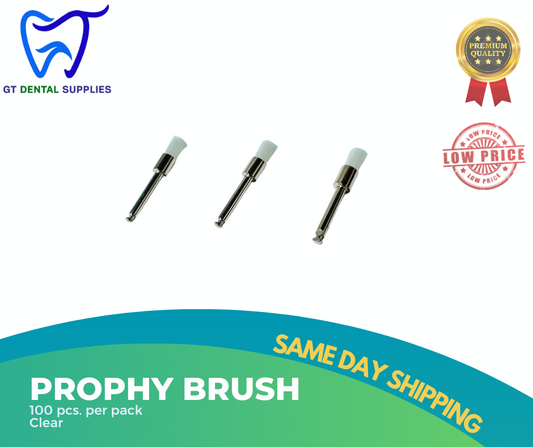 Prophy Brush