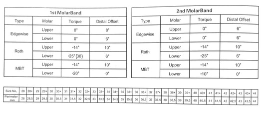 Molar Bands